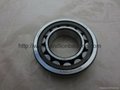 BC1-0738A SKF Cylindrical roller bearings 2