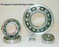 Deep Groove Ball Bearing 1