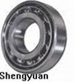 Angular Contact Ball Bearing 1