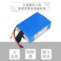 LiPo Battery Pack for RC Flyer