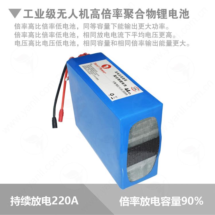 LiPo Battery Pack for RC Flyer 4