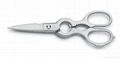 Stainless Kitchen Shears