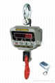 Electronic Crane Scales EX