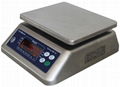 Stainless Steel Waterproof Scale