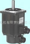 servo motor