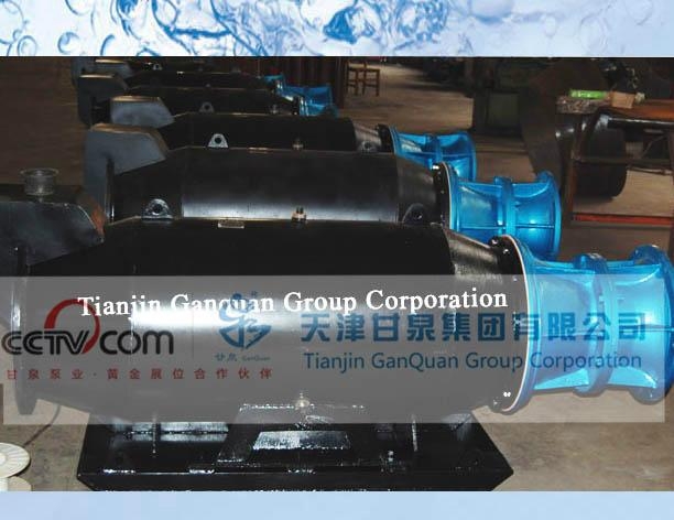 QZB系列漂浮式潜水轴流泵 2