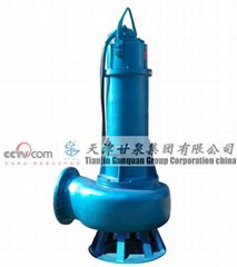 Submersible Sewage Pump