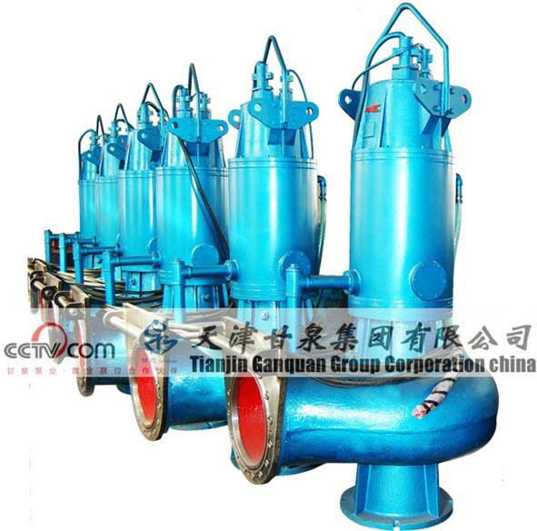 Submersible Sewage Pump  2