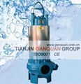 Submersible Sewage Pump 