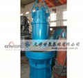 QZB Axial Flow Pump 3