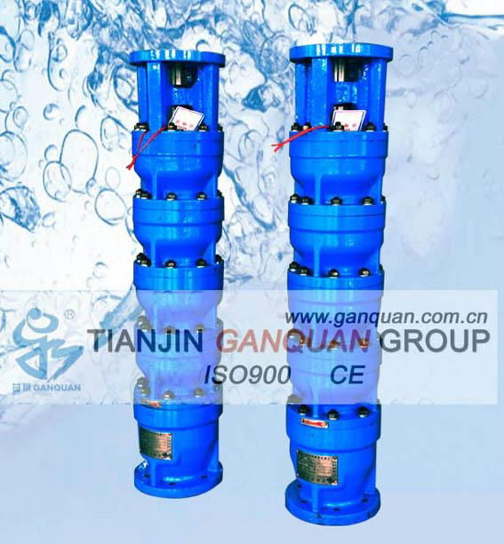 Submersible pump(deep well pump) 2