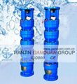 Submersible pump(deep well pump) 2