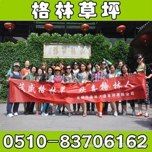 汽車用人造草坪腳墊 2