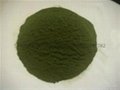 Supply all kinds of seaweed powder