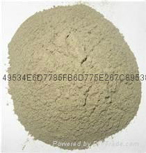 The company kelp powder (seaweed powder)