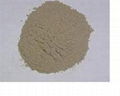 Supply kelp root powder 4