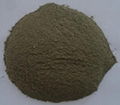 Supply kelp root powder 5