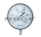 Y100普通壓力表