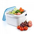 KD-6002 Ultrasonic and Ozone Vegetable & Fruit Sterilizer