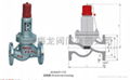 AHN42F型平行式安全回流阀