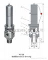 AQ空压机安全阀 2