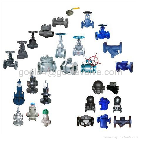 Forged ball gate globe check valve 4