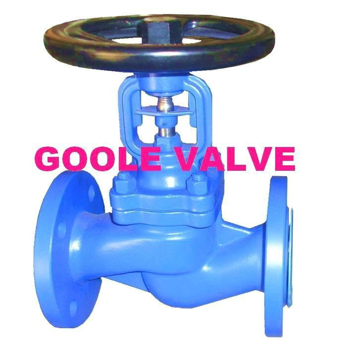  DIN Bellows Sealed Globe Valve  2