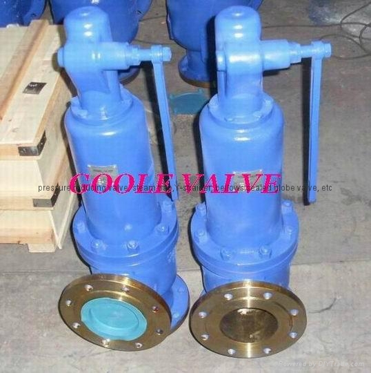 Spring loaded safety valve 2