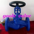 Bellow Sealed Globe Valve  2