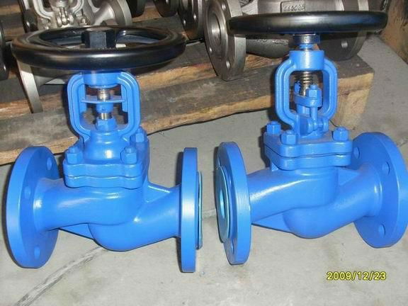 Bellow Sealed Globe Valve  3