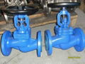 Bellow Sealed Globe Valve  3