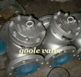 API swing check valve