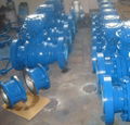 Wafer Check Valve