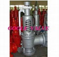 Spring loaded safety valve 3