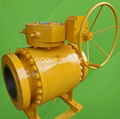 Trunnion mounted ball valve 1