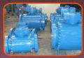 Trunnion mounted ball valve 5