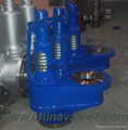 Safety relief valve,safety valve,relief valve 2