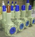 Safety relief valve,safety valve,relief valve 3