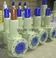 Safety relief valve,safety valve,relief valve