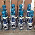Safety relief valve,safety valve,relief valve 5