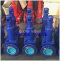 Spring loaded safety valve