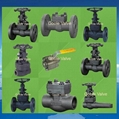 Forged ball gate globe check valve 1