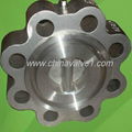 Wafer Check Valve