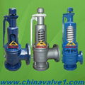 Spring loaded safety valve