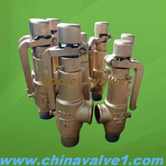 A27 Spring loaded low lift type safety valve