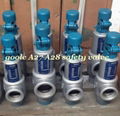 A27 Spring loaded low lift type safety valve