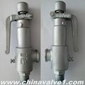 A27 Spring loaded low lift type safety valve