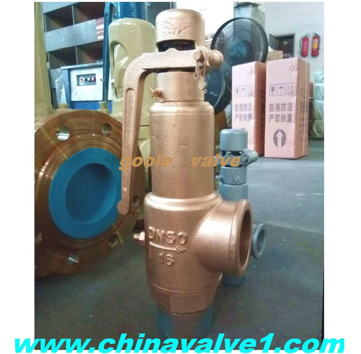 A27 Spring loaded low lift type safety valve 5