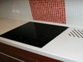 Acrylic solid surface countertops 5