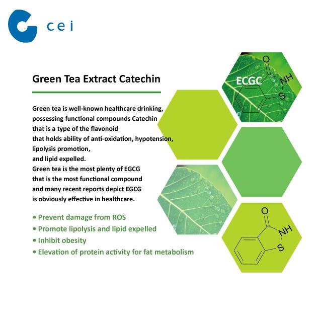 OEM Food Supplement Antrodia Cinnamomea Capsules Green Tea Extract Catechin Anti 4